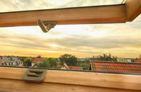 rated Treskilling roof window companies
